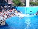 Sea World-117